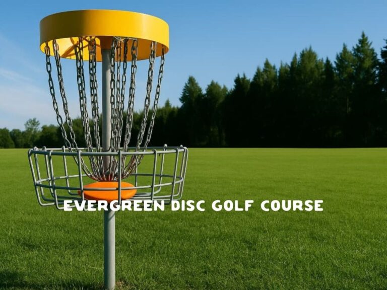 Evergreen Disc Golf Course Olympia Washington 768x576