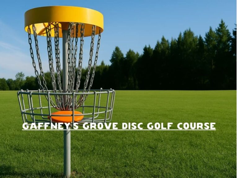 Gaffney's Grove Disc Golf Course Maple Valley Washington